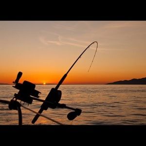 Meet your Posher, Jake